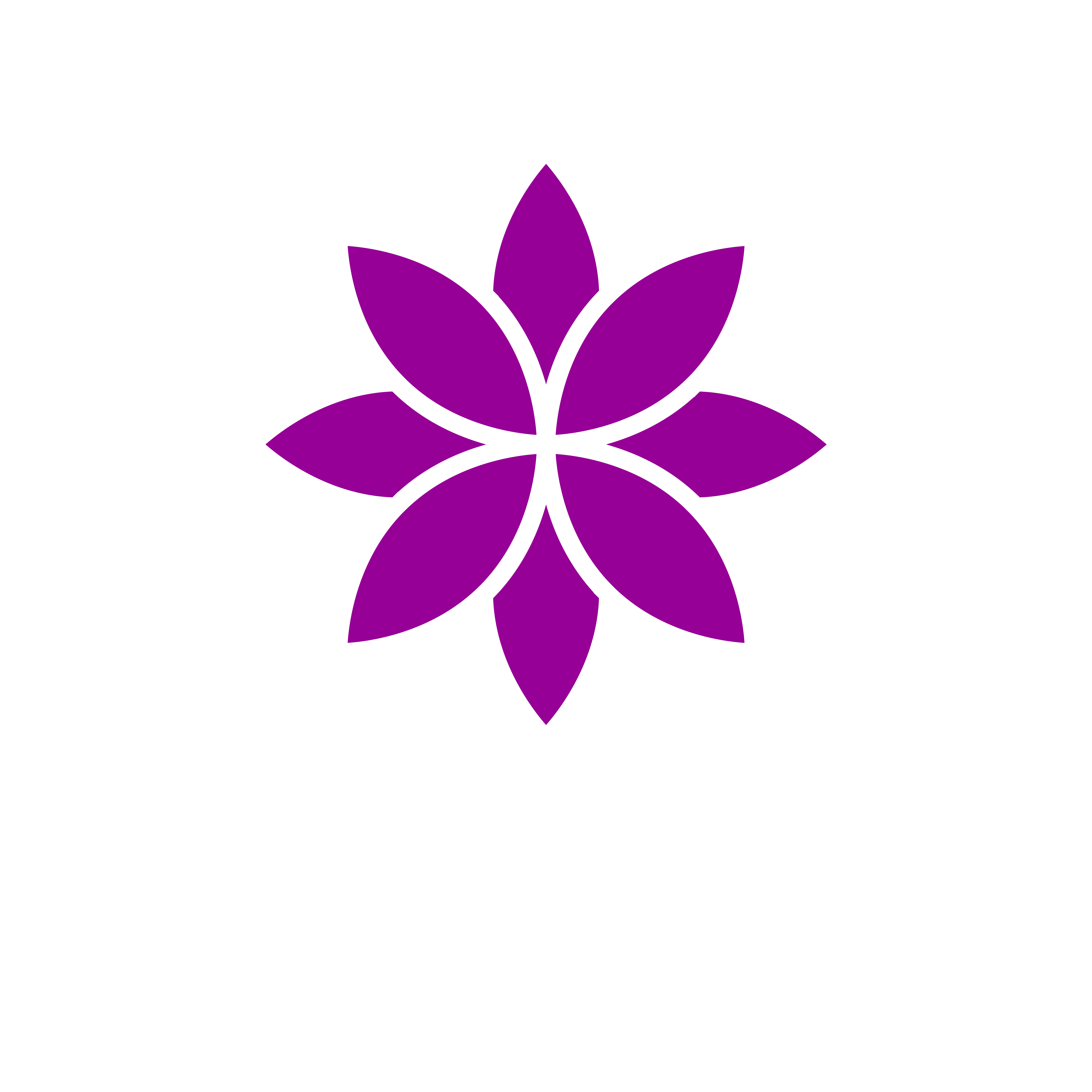 Bokaflow Holland