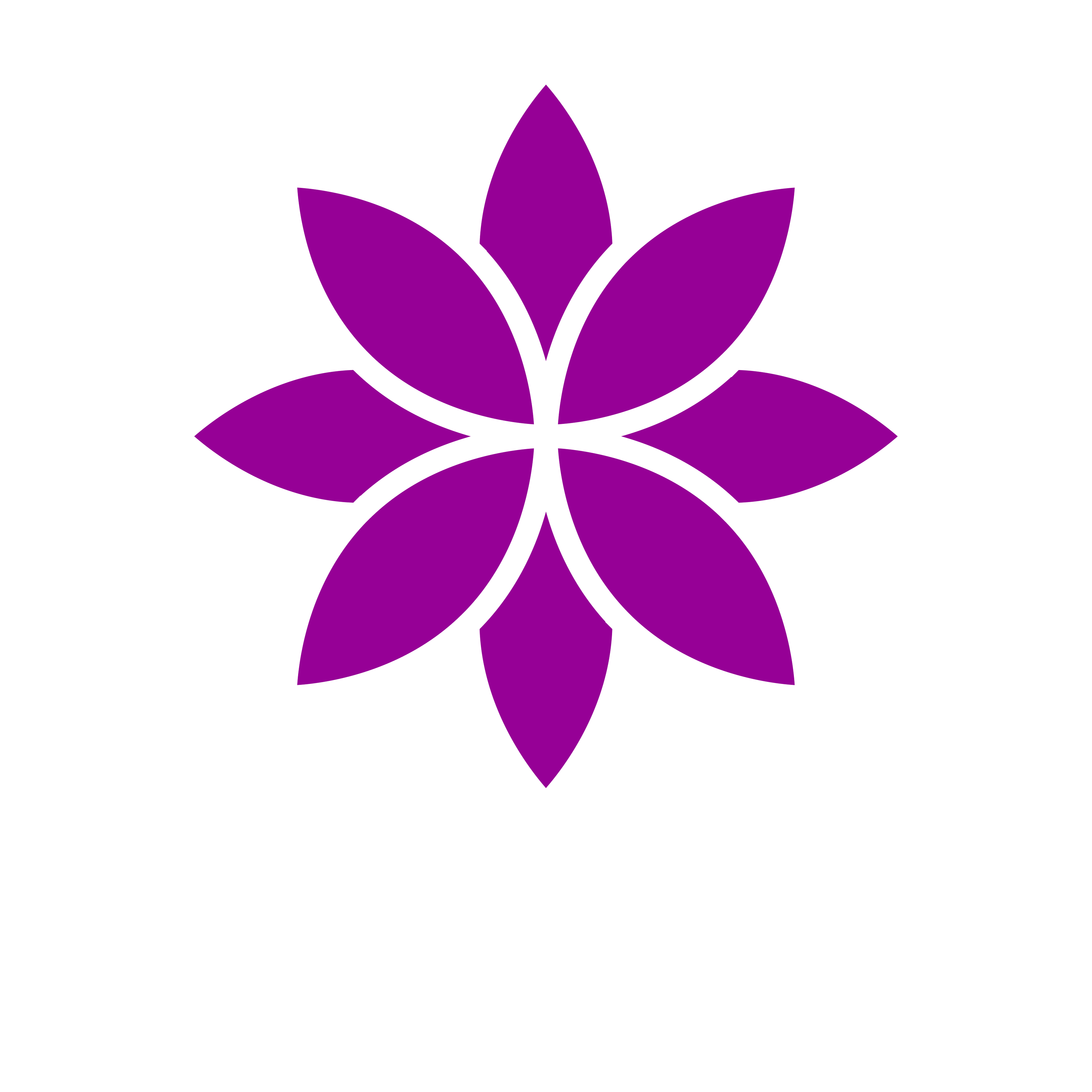 Bokaflow Holland